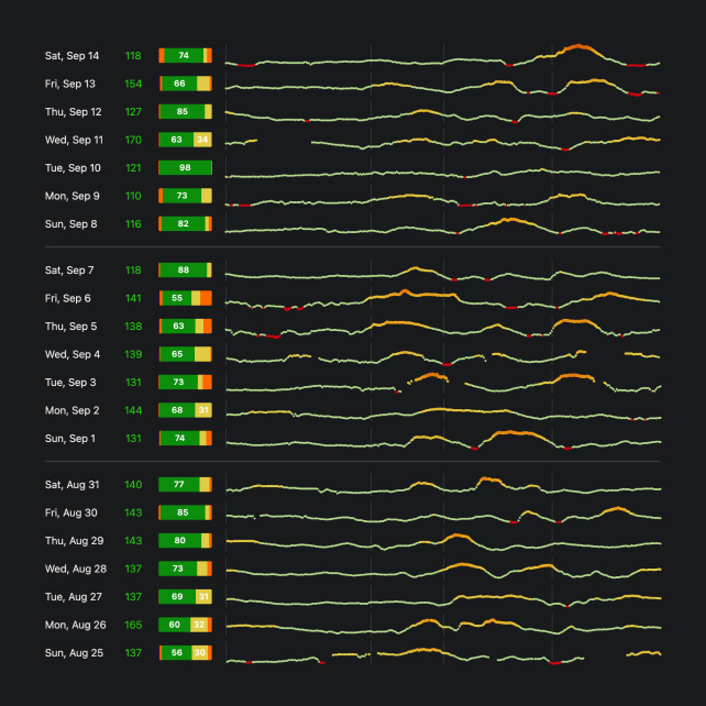 Saltie CGM Data